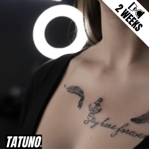 Tatuaż jagua półtrwały stay here forever