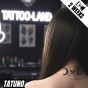 Tatuaż jagua półtrwały słońce i księżyc