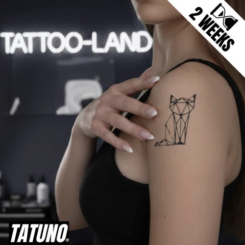 Tatuaż jagua półtrwały geometryczny lew sowa lis