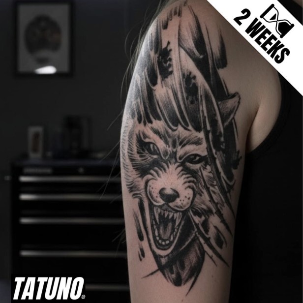 Tatuaż jagua półtrwały gniewny wilk