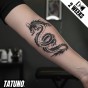 Tatuaż jagua półtrwały mistyczny smok