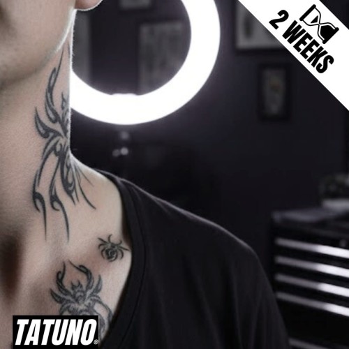 Tatuaż jagua półtrwały pająki