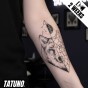 Tatuaż jagua półtrwały kosmiczny wilk