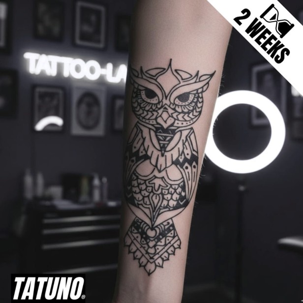 Tatuaż jagua półtrwały sowa