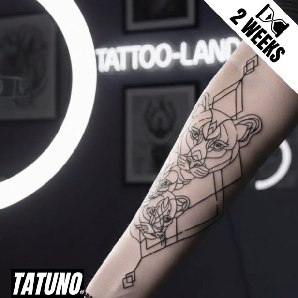 Tatuaż jagua półtrwały rodzinne więzi pumy