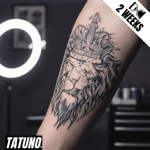 Tatuaż jagua półtrwały król lew