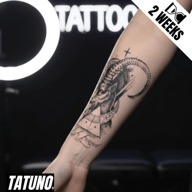 Tatuaż jagua półtrwały kozi róg mocy life friend