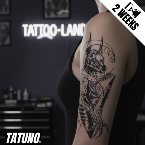 Tatuaż jagua cybernetyczny doberman