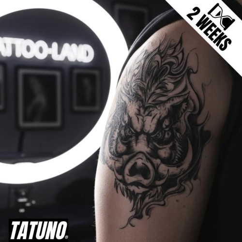 Tatuaż jagua półtrwały wściekły dzik