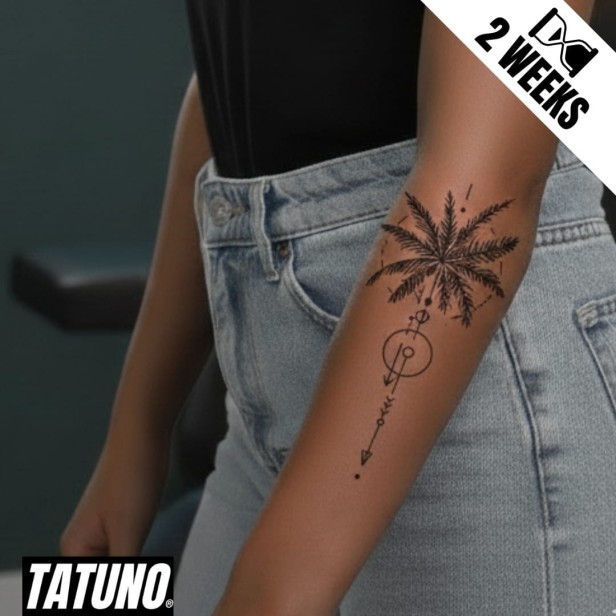 Tatuaż jagua półtrwały palma & symbole