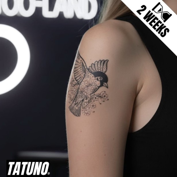 Tatuaż jagua półtrwały gołąb