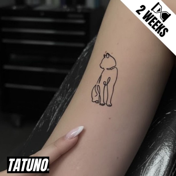 Tatuaż jagua półtrwały kot