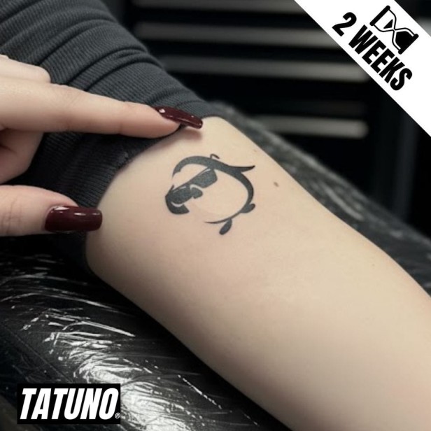 Tatuaż jagua półtrwały pingwin