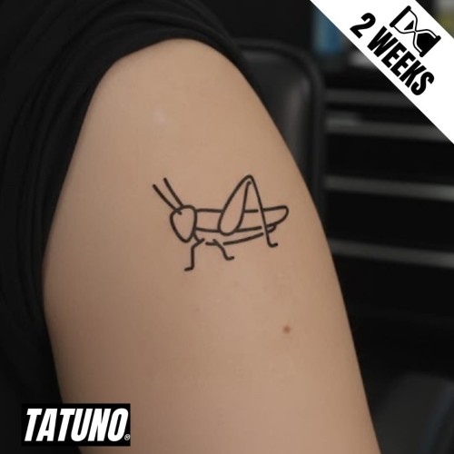 Tatuaż jagua półtrwały konik polny