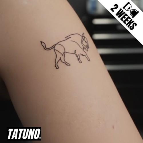 Tatuaż jagua półtrwały żubr