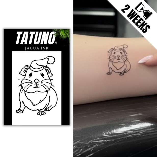 Tatuaż jagua półtrwały świnka morska