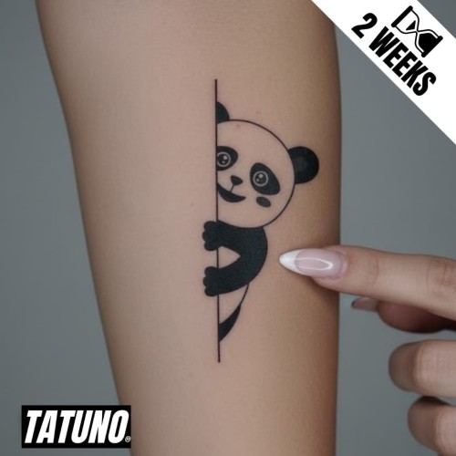 Tatuaż jagua półtrwały urocza panda
