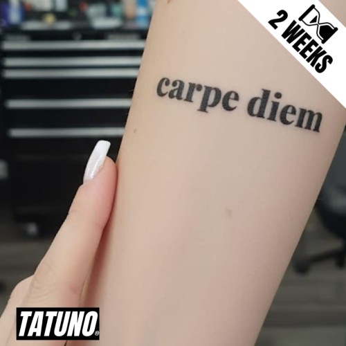 Tatuaż jagua półtrwały carpe diem chwytaj dzień