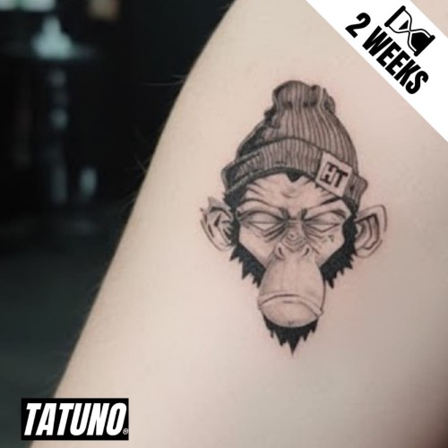 Tatuaż jagua półtrwały wyluzowana małpa