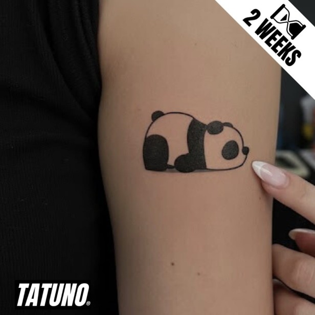 Tatuaż jagua półtrwały panda