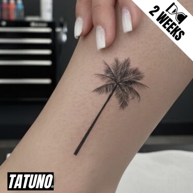 Tatuaż jagua półtrwały palma