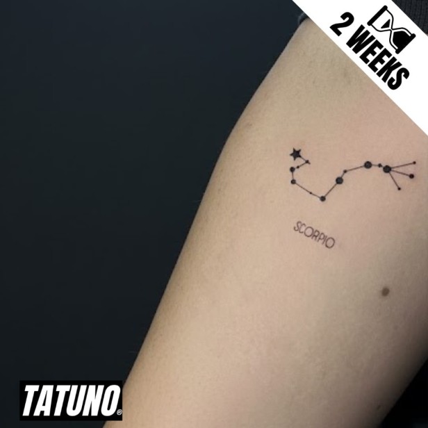 Tatuaż jagua półtrwały znak zodiaku skorpion