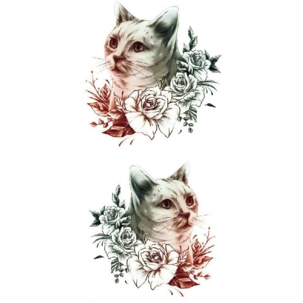 KOTKI