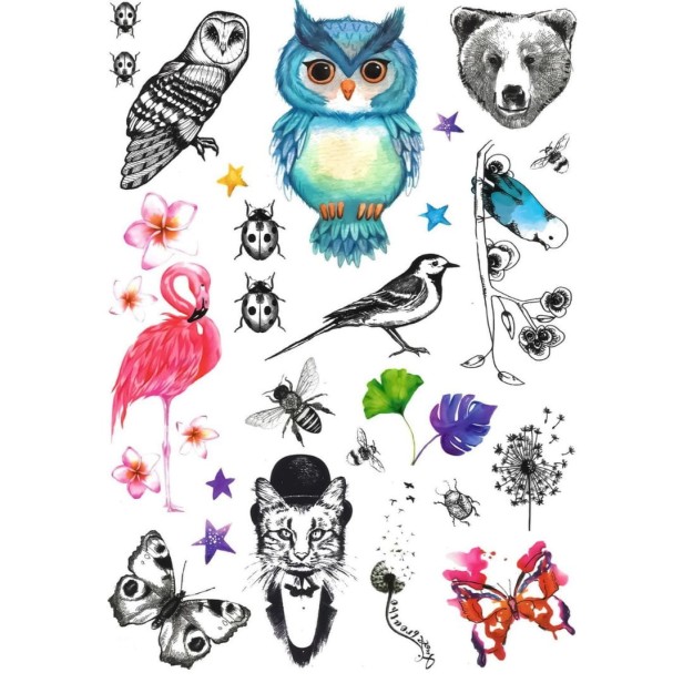 Tatuaże dla dzieci sowa biedronki kot flaming
