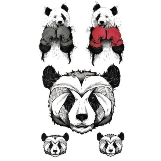 Tatuaż tymczasowy miś koala zestaw