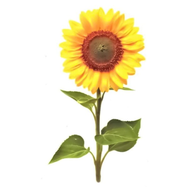 Tatuaż tymczasowy słonecznik kolorowy